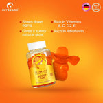 Load image into Gallery viewer, Ivybears Boost Tan supplement – vitamins for natural golden glow