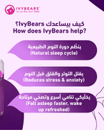 تحميل الصورة إلى عارض المعرض، Restful Night Box - Ivy - Bears - Gulf

